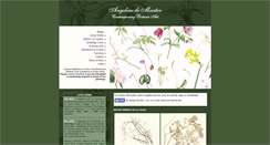 Desktop Screenshot of contemporarybotanicart.com